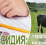 ОБЪЯВЛЕНИЕ О ПРОВЕДЕНИИ ОТБОРА. - Юргамышский муниципальный округ
