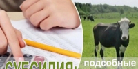 ОБЪЯВЛЕНИЕ О ПРОВЕДЕНИИ ОТБОРА. - Юргамышский муниципальный округ