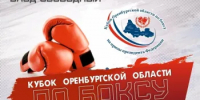 В Бузулуке состоится Кубок Оренбургской области по боксу    - Администрация города