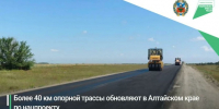 Ремонт трассы / Фото: Минтранс Алтайского края - ИА Амител