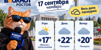 Погода в Ростове преподнесет облачную середину недели - Bloknot-Rostov.Ru