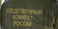 Житель Каменки предстанет перед судом за нападение на сотрудника полиции - Progorod58.Ru