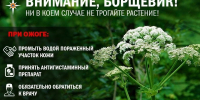 image - Газета Балтийский луч