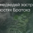 Поделитья во ВКонтакте - Братская Студия Телевидения