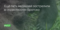 Поделитья во ВКонтакте - Братская Студия Телевидения