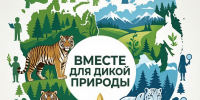 Колымчан призвали голосовать за краснокнижных животных области Источник - MagadanMedia.Ru