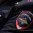 У жителей Челябинской области изъяли почти 9 килограммов взрывчатых веществ - Южноуральская панорама