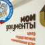 Специалисты налоговой службы организуют онлайн-консультации для граждан региона на базе МФЦ - Департамент государственного регулирования цен и тарифов