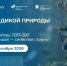 Голосуй за природу России: 100 видов, которые можно спасти - ТАУ