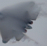 Ростех: Су-57Э показал увеличенную дальность во время перелета в Египет - Газета Краснодарские известия