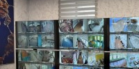 Работа Центра общественного наблюдения - Общественная Палата