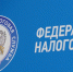Выездные проверки налоговой хотят поменять на постоянное онлайн-взаимодействие в 80 компаниях РФ - Область 45