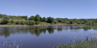 В Курской области на водохранилище в Хомутовском районе произошел замор рыб - Курские Известия