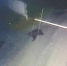 Медведь зашел на территорию цементного завода в Невьянске - Фото 1 - JustMedia