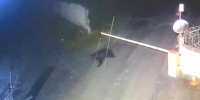 Медведь зашел на территорию цементного завода в Невьянске - Фото 1 - JustMedia