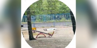 Труп нашли на детской площадке в Воронеже - ГТРК Воронеж