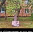 001-2026-09-17-al.jpg - Ozersk74.Ru