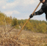 Готовьте участок к зиме безопасно! - МЧС Республики Хакасия