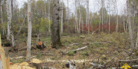 JPG Файл - ГУ МВД Кемеровской области