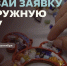 В Махачкале пройдет Окружная школа волонтеров культуры - РИА Дагестан