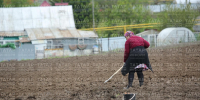 Вниманию буинцам: готовим сад к зиме правильно - Газета Знамя