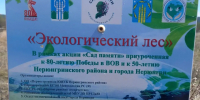 «Экологический лес» в Нерюнгринском районе стал чище благодаря участникам экологического проекта «Зеленый четверг» - Минэкологии РС(Я)