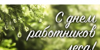 Поздравляем с Днём работников леса! - Рослесозащита Республики Марий Эл