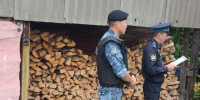 Судебные приставы Республики Алтай взыскали ущерб за нарушение лесного законодательства - УФССП