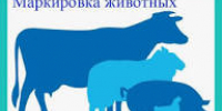Новости округа - Город Талдом
