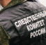 В Санкт-Петербурге задержан мужчина, подозреваемый в совершении насильственных действий сексуального характера - Следственный комитет