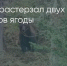 Поделитья во ВКонтакте - Братская Студия Телевидения