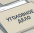 Жительница Трехгорного потеряла четверть миллиона, пытаясь купить мини-экскаватор через интернет - Агентство новостей Доступ