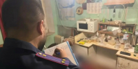 Тело истерзанного пенсионера нашли на мусоросортировочном комплексе в Балакове - Balakovo24.Ru