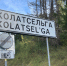 «10 человек купили, остальные — давитесь слюной». Жители Карелии стоят в очередях и не могут купить хлеб - Gubdaily.Ru