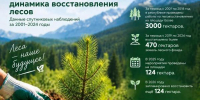 В Карачаево-Черкесии отмечается положительная динамика восстановления лесов - Правительство Карачаево-Черкесской Республики