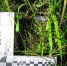 background - Cher-Poisk.Ru