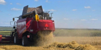 Аграрии Верхнеуслонского района убрали более 80% зерновых - Волжская новь