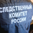 Александр Бастрыкин взял на контроль дело о нападении на 13‑летнего мурманчанина - Вечерний Мурманск