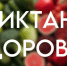 Старт финального трека Всероссийской акции «Диктант здоровья - 2026»: "Используем гаджеты рационально" - Нижнеломовский район