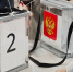 Голосовать дистанционно на выборах депутатов Госдумы будут 5,5% избирателей Курганской области - Область 45