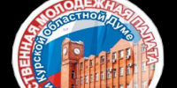 Формируется новая команда молодых парламентариев региона - Областная Дума