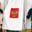 Голосовать в Луганске и Москве на выборах депутатов Госдумы будут некоторые курганцы - Область 45