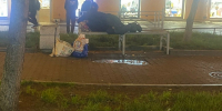 В Петрозаводске задержали обнаглевшего бомжа - Gubdaily.Ru