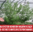 пост 5 - Cityopen.ru