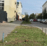 В Омске начали снос деревьев ради парковки на Чкалова - СуперОмск