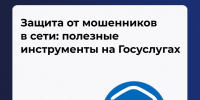 Защита от мошенников в сети: полезные инструменты на Госуслугах - Министерство труда и социальной защиты