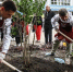 Участники конкурса «Учитель года» высадили в Белгороде аллею сирени - БелПресса