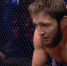 Бойца из Дагестана исключили из UFC - РИА Дагестан