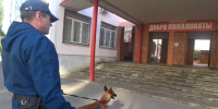 Кинологи обследовали избирательные участки в Воронеже накануне выборов в Госдуму - РИА Воронеж