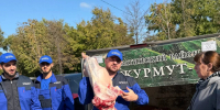 Дагестан с начала 2026 года импортировал более 1,2 тыс. тонн баранины - РИА Дагестан